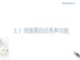 高中生物必修一 3.1 细胞膜的结构和功能 课件(共23张)