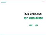 高中生物必修一 3.3细胞核的结构和功能课件