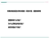 高中生物必修一 3.3细胞核的结构和功能课件