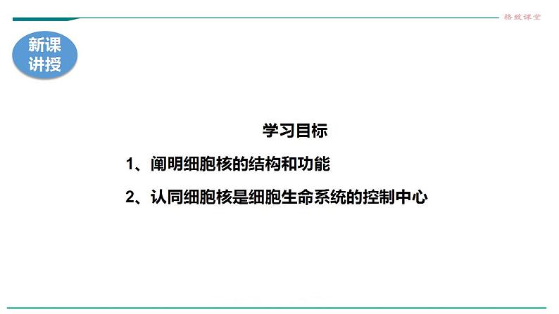 高中生物必修一 3.3细胞核的结构和功能课件04