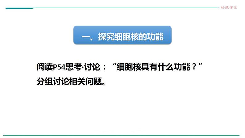 高中生物必修一 3.3细胞核的结构和功能课件06