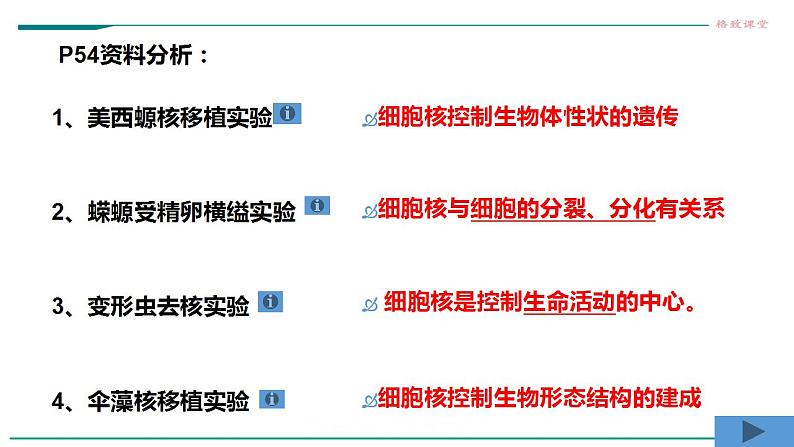 高中生物必修一 3.3细胞核的结构和功能课件07