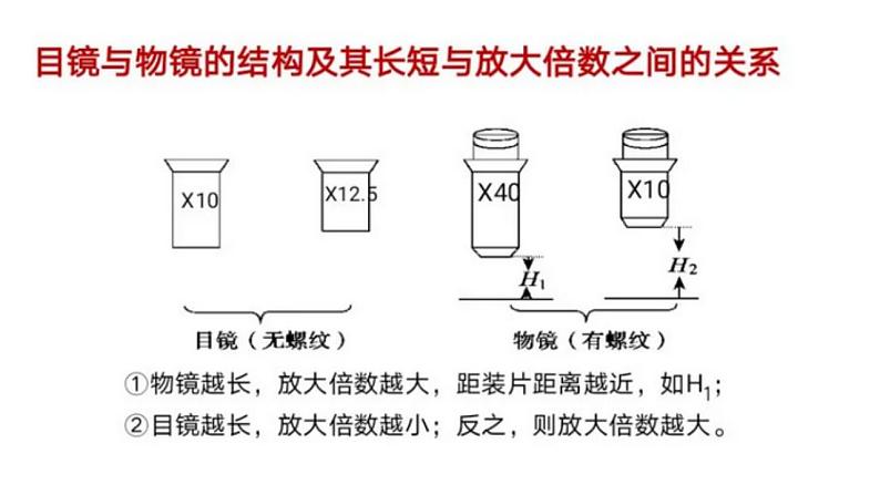 高中生物必修一 1.2细胞的多样性和统一性 课件-2021-2022学年高一上学期05