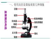 高中生物必修一 1.2细胞的多样性和统一性课件