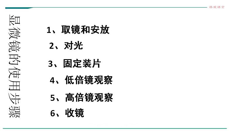 高中生物必修一 1.2细胞的多样性和统一性课件第4页