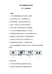 2020-2021学年第1节 细胞的增殖同步测试题