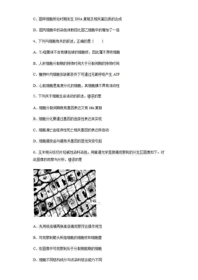 高中生物必修一 6.1 细胞的增殖 练习第2页