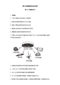 生物必修1《分子与细胞》第2节 细胞的分化随堂练习题