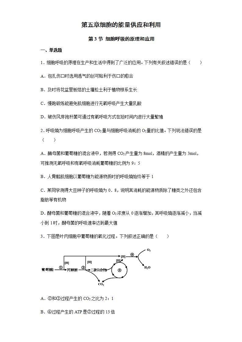 高中生物必修一 5.3 细胞呼吸的原理和应用 练习第1页