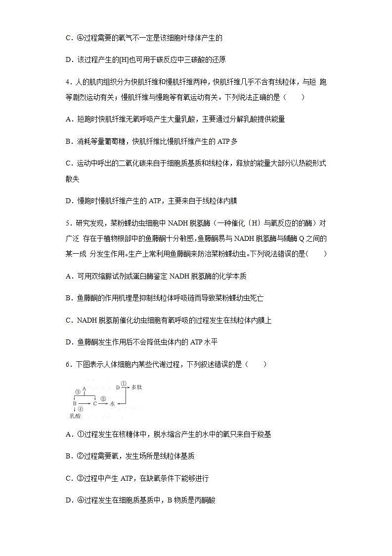 高中生物必修一 5.3 细胞呼吸的原理和应用 练习第2页