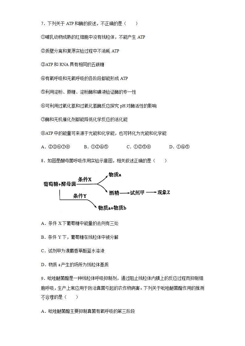 高中生物必修一 5.3 细胞呼吸的原理和应用 练习第3页