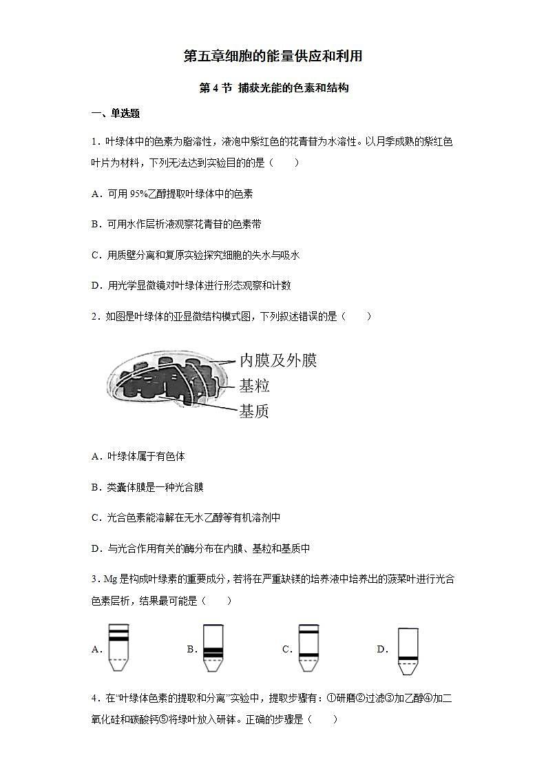 高中生物必修一 5.4.1 捕获光能的色素和结构 练习第1页