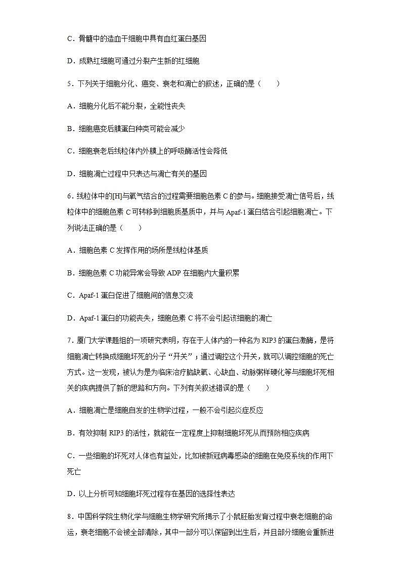 高中生物必修一 6.3 细胞的衰老和死亡 练习02