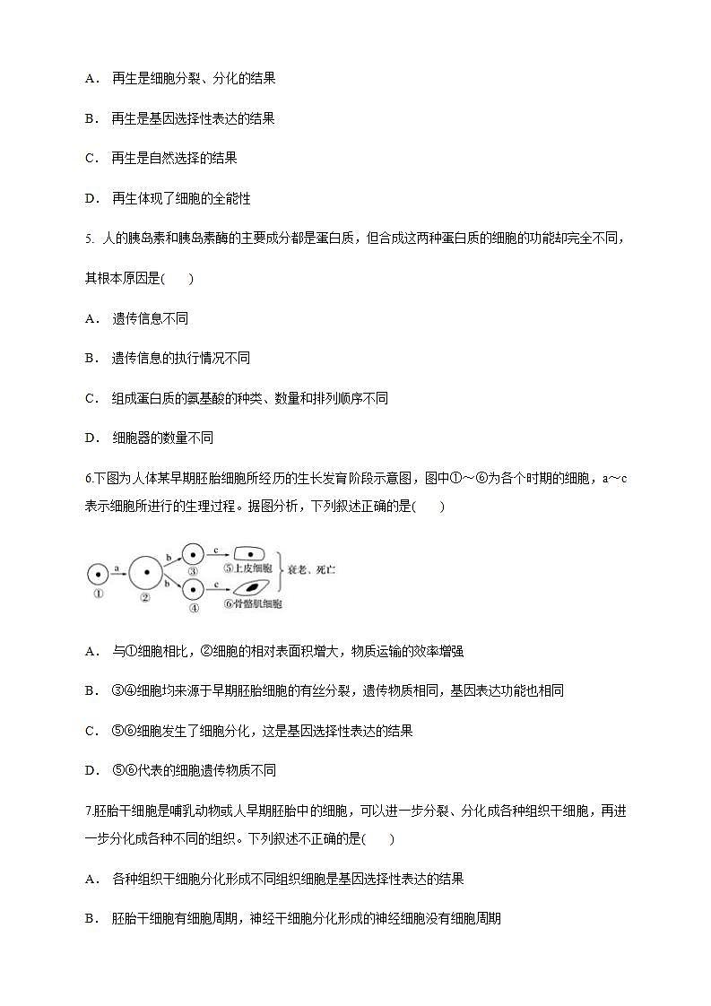高中生物必修一 6.2 细胞的分化 练习（无答案）02