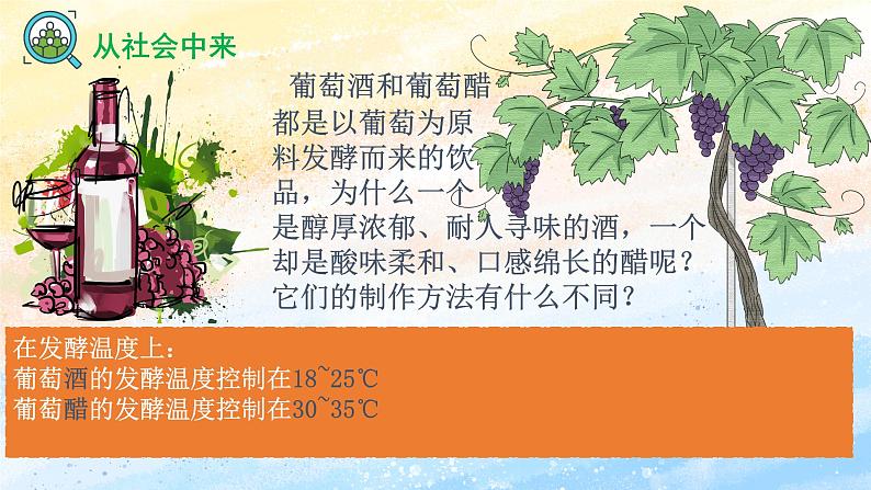 1.1传统发酵技术的应用高二生物（人教版2019选择性必修3） 课件+学案05