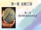 1.2.1微生物的基本培养技术高二生物（人教版2019选择性必修3） 课件+学案