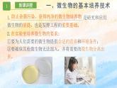 1.2.1微生物的基本培养技术高二生物（人教版2019选择性必修3） 课件+学案