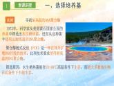 1.2.2微生物的選擇培養(yǎng)和計(jì)數(shù)高二生物（人教版2019選擇性必修3） 課件+學(xué)案
