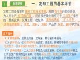 1.3发酵工程及其应用高二生物（人教版2019选择性必修3） 课件+学案