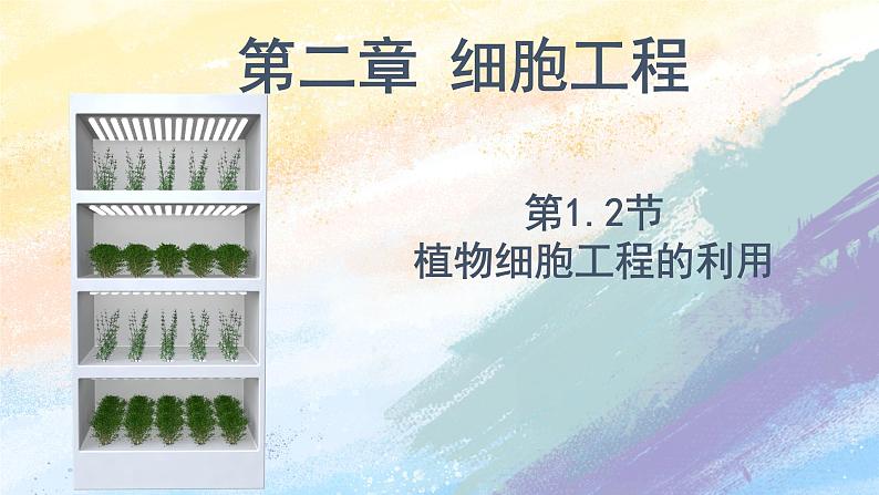 2.1.2 植物细胞工程的应用 (课件）高二生物（人教版2019选择性必修3）第1页