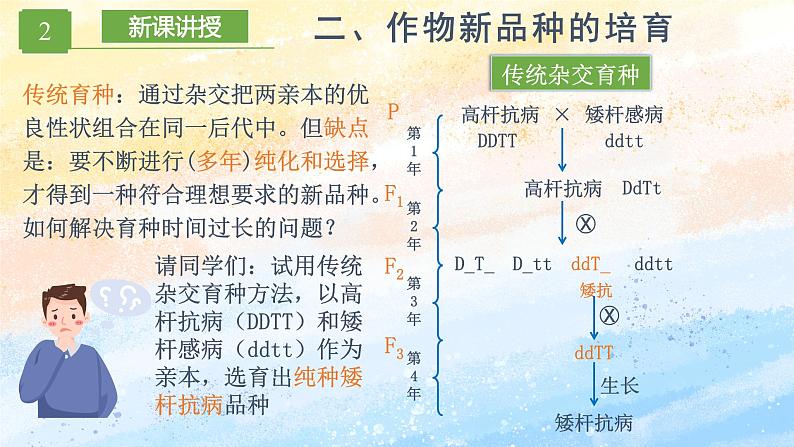 2.1.2 植物细胞工程的应用 (课件）高二生物（人教版2019选择性必修3）第8页