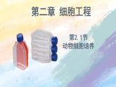 2.2.1 動物細胞培養(yǎng)高二生物（人教版2019選擇性必修3） 課件+學(xué)案