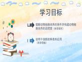 2.2.1 動物細胞培養(yǎng)高二生物（人教版2019選擇性必修3） 課件+學(xué)案