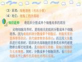 2.2.1 動物細胞培養(yǎng)高二生物（人教版2019選擇性必修3） 課件+學(xué)案