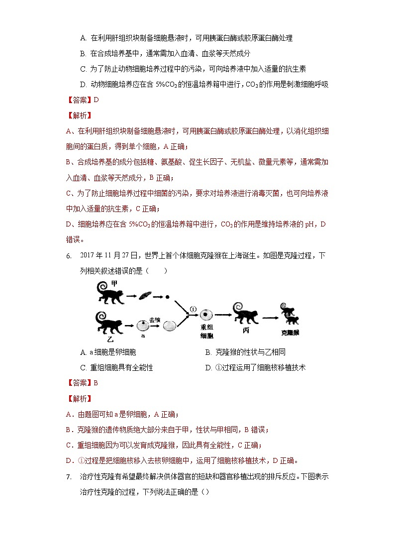 2.2.1 动物细胞培养高二生物（人教版2019选择性必修3） 课件+学案03