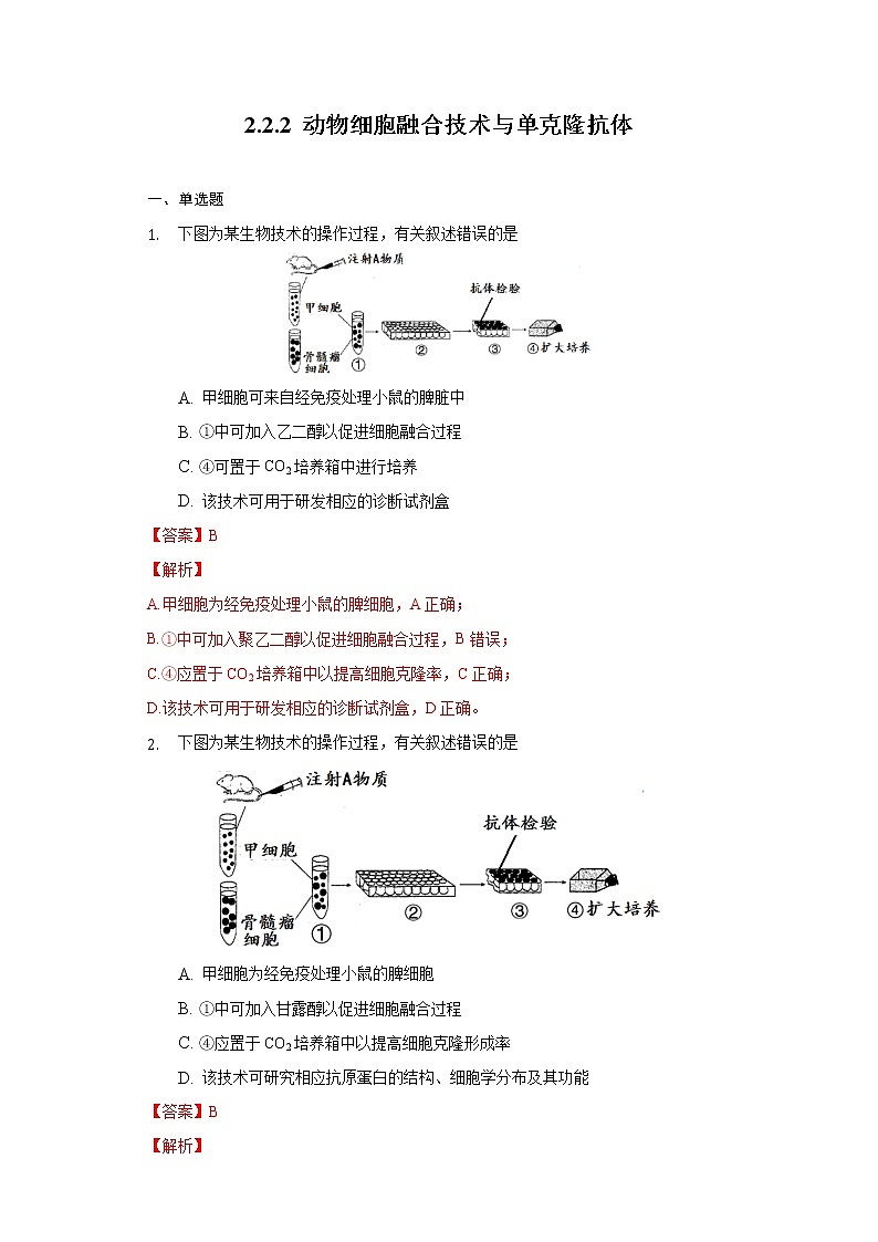 2.2.2 动物细胞融合技术与单克隆抗体高二生物（人教版2019选择性必修3） 课件+学案01
