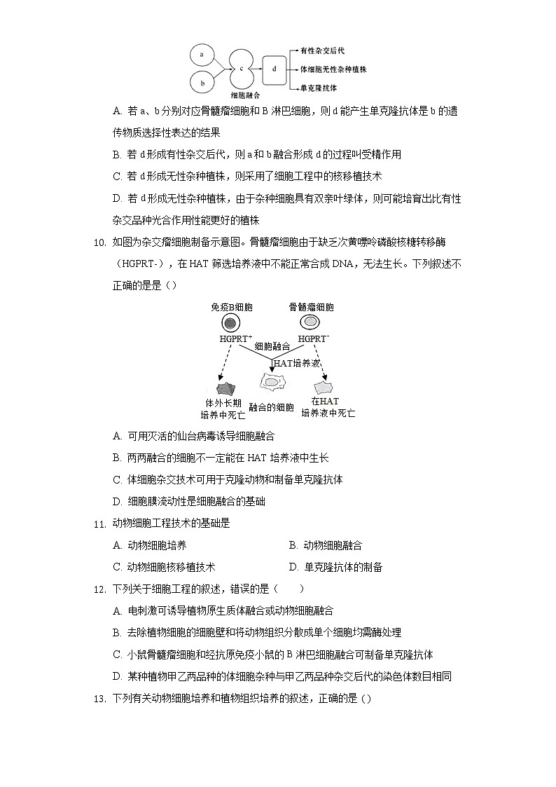 2.2.2 动物细胞融合技术与单克隆抗体高二生物（人教版2019选择性必修3） 课件+学案03