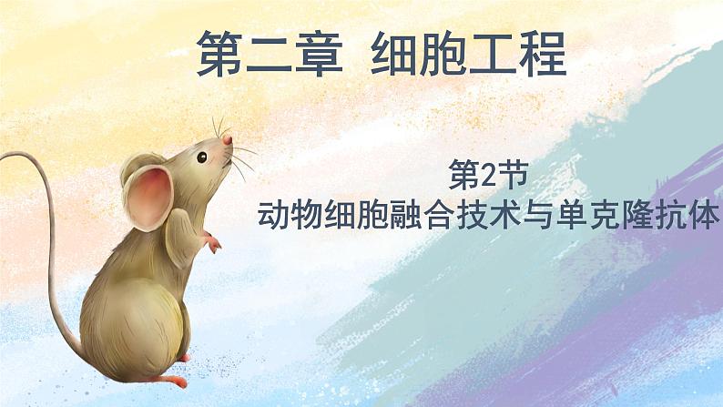 2.2.2 动物细胞融合技术与单克隆抗体高二生物（人教版2019选择性必修3） 课件+学案01