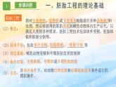 2.3.1 胚胎工程的理論基礎(chǔ)高二生物（人教版2019選擇性必修3） 課件+學(xué)案
