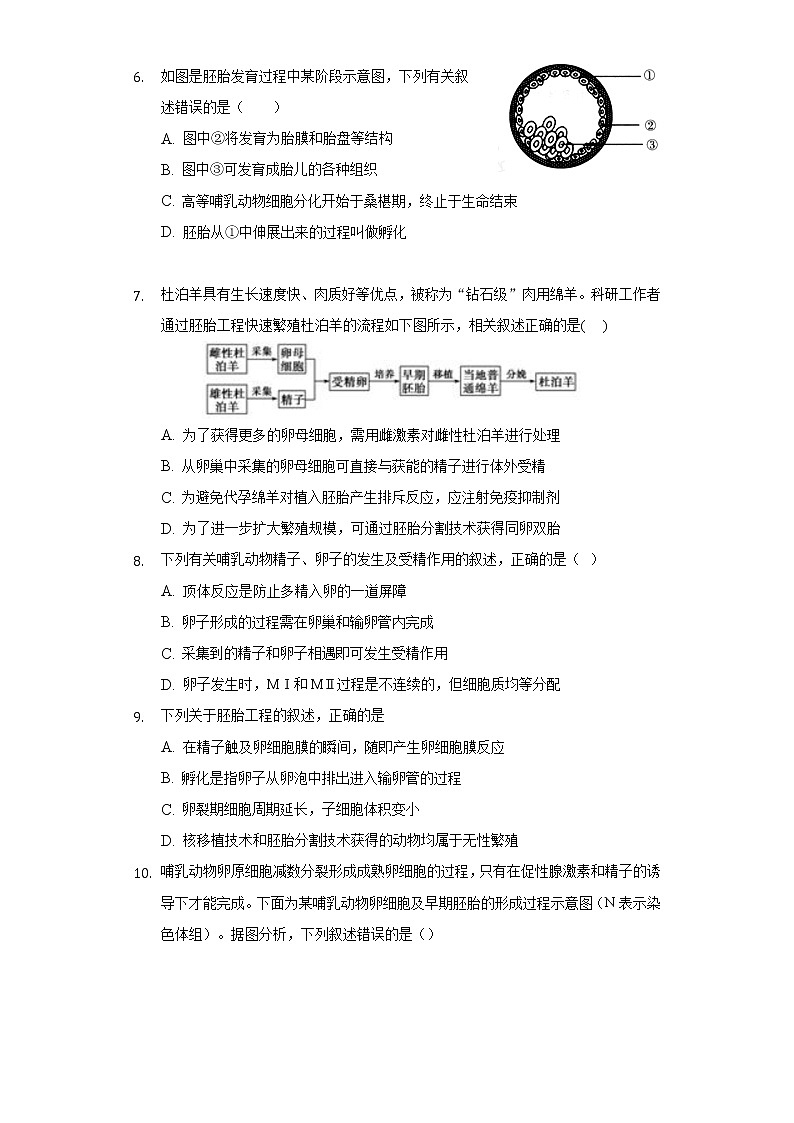 2.3.1 胚胎工程的理论基础高二生物（人教版2019选择性必修3） 课件+学案02