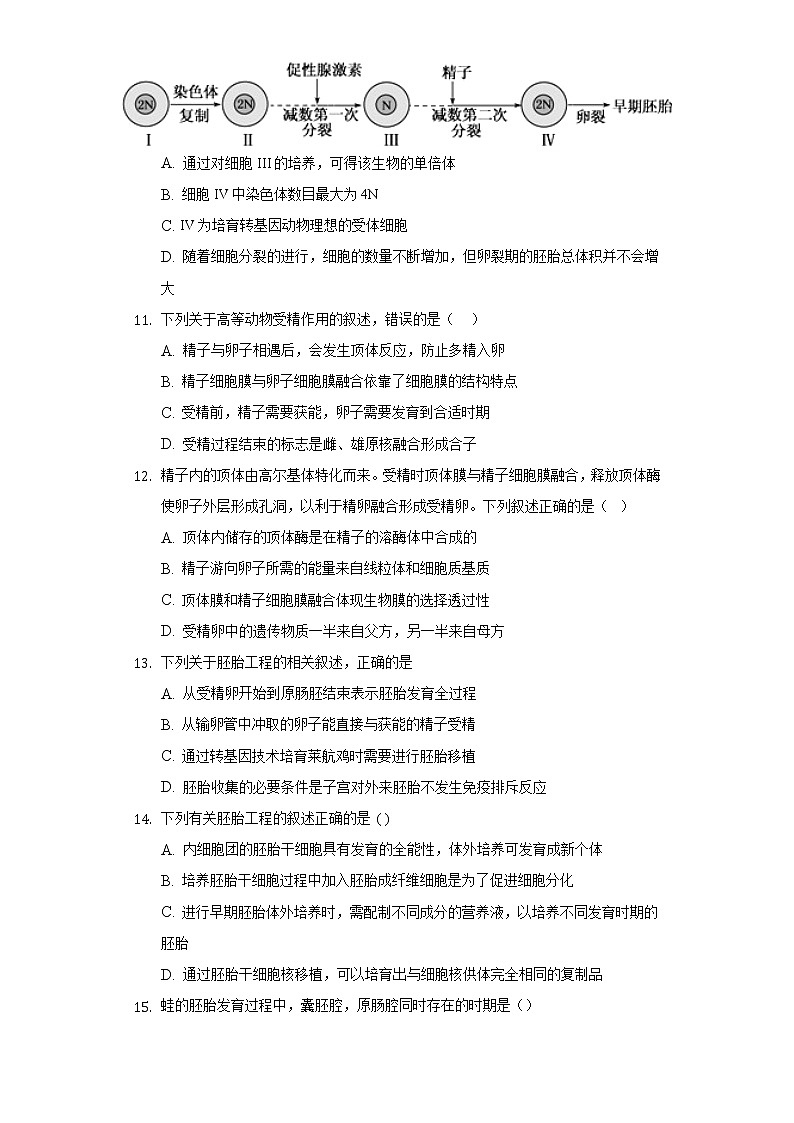 2.3.1 胚胎工程的理论基础高二生物（人教版2019选择性必修3） 课件+学案03