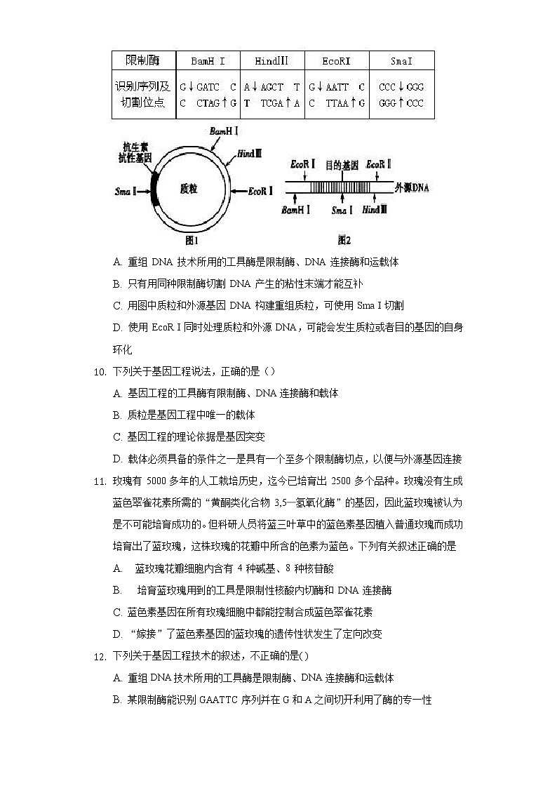 3.1 重组DNA技术的基本工具 (备作业）-【上好课】2021-2022学年高二生物同步备课系列（人教版2019选择性必修3）（原卷版）第3页