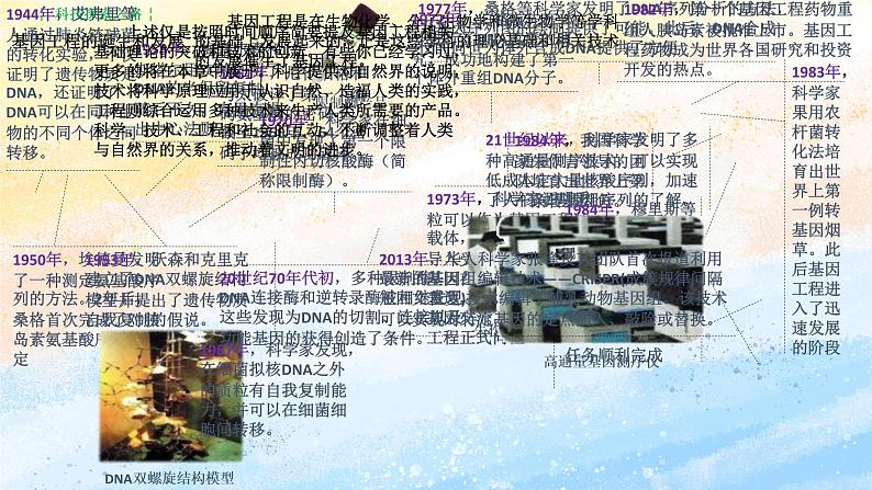 3.1 重组DNA技术的基本工具 (备课件）-【上好课】2021-2022学年高二生物同步备课系列（人教版2019选择性必修3）第3页