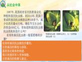 3.2 基因工程的基本操作程序高二生物（人教版2019选择性必修3） 课件+学案