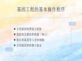 3.2 基因工程的基本操作程序高二生物（人教版2019选择性必修3） 课件+学案