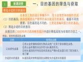 3.2 基因工程的基本操作程序高二生物（人教版2019选择性必修3） 课件+学案