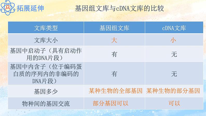 3.2 基因工程的基本操作程序高二生物（人教版2019选择性必修3） 课件+学案08