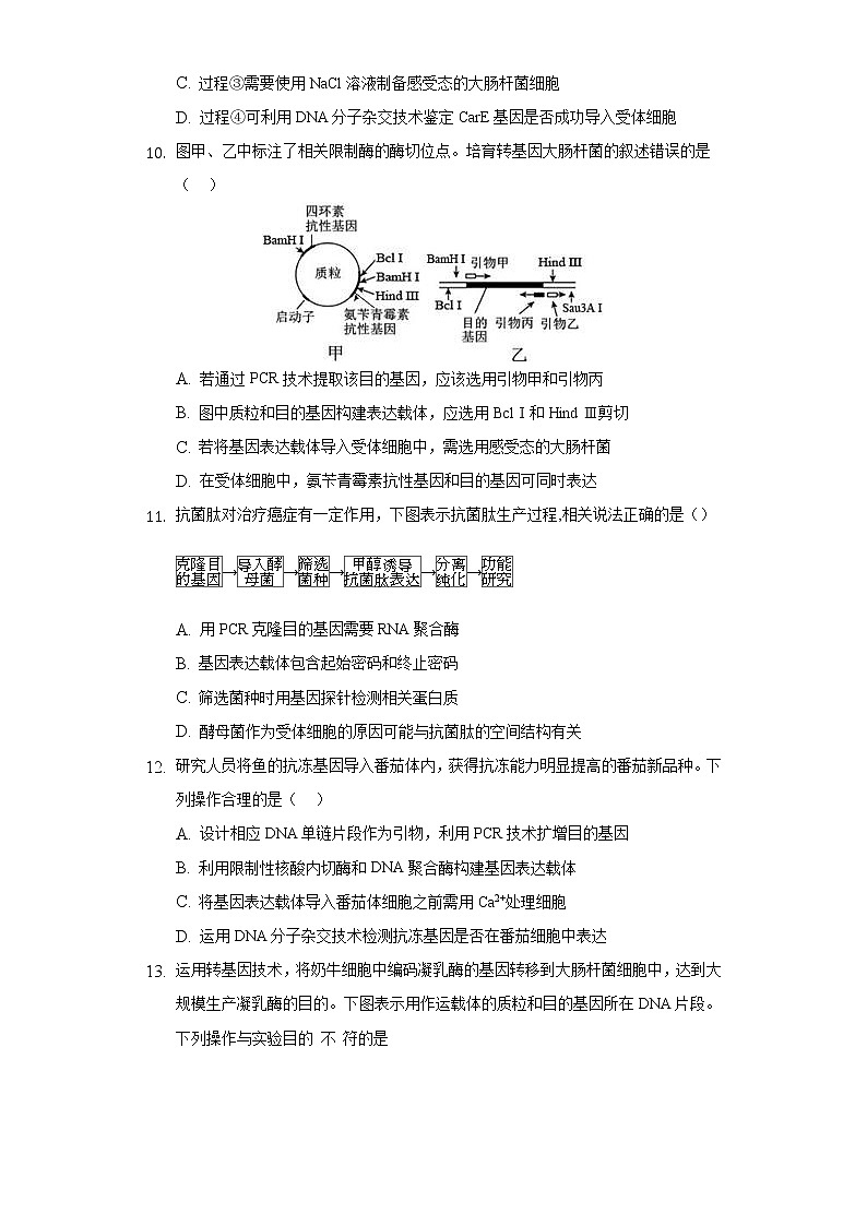 3.2 基因工程的基本操作程序高二生物（人教版2019选择性必修3） 课件+学案03