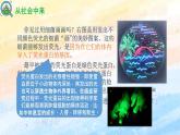 3.4 蛋白质工程的原理和应用高二生物（人教版2019选择性必修3） 课件+学案