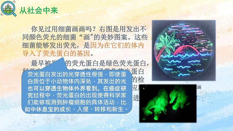 3.4 蛋白质工程的原理和应用高二生物（人教版2019选择性必修3） 课件+学案03