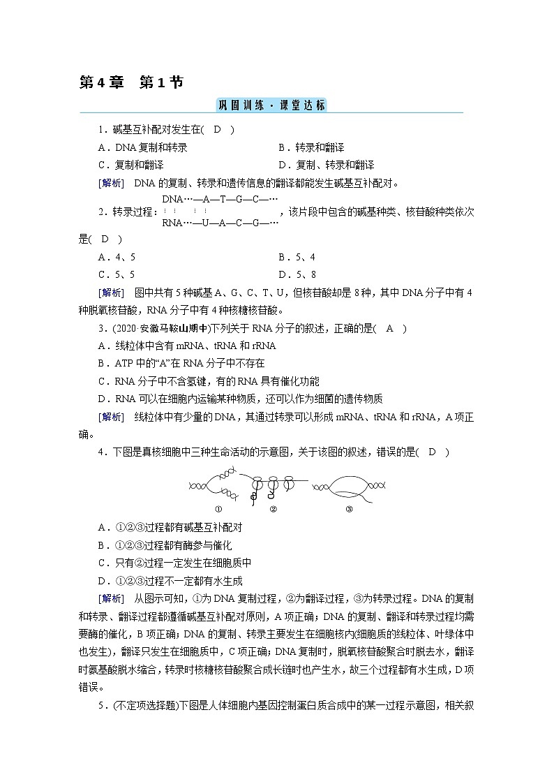高中生物第二册 课堂作业.第4章 第1节 基因指导蛋白质的合成 巩固训练01