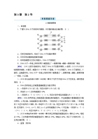 人教版 (2019)必修2《遗传与进化》第2节 DNA的结构同步训练题