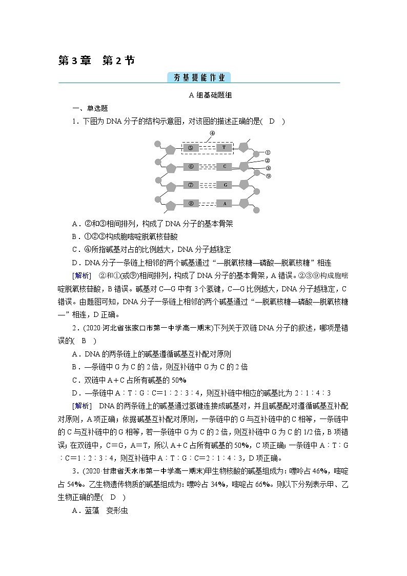 高中生物第二册 课堂作业.第3章 第2节 DNA的结构第1页