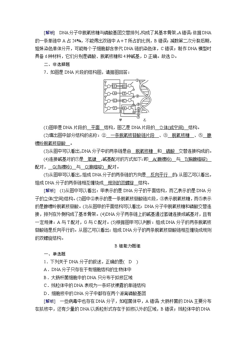 高中生物第二册 课堂作业.第3章 第2节 DNA的结构第3页