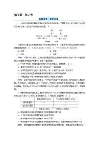 高中生物人教版 (2019)必修2《遗传与进化》第2节 基因表达与性状的关系综合训练题