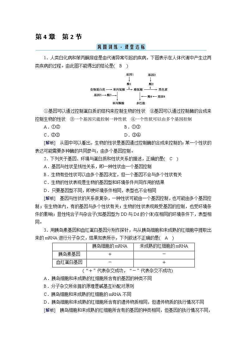 高中生物第二册 课堂作业.第4章 第2节 基因表达与性状的关系 巩固训练第1页